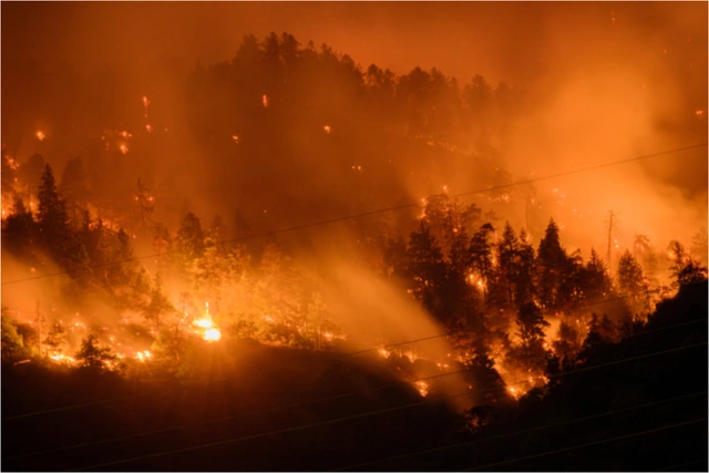 В Чили выросло число жертв лесных пожаров